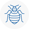Bed Bug Extermination In Oxshott