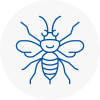 Oxshott Hornet Nest Removals