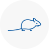 Mice Exterminators In Oxshott