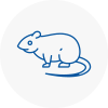 Rat Control Oxshott