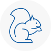 Oxshott Rodent Removals