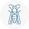 Oxshott Wasp Nest Removal